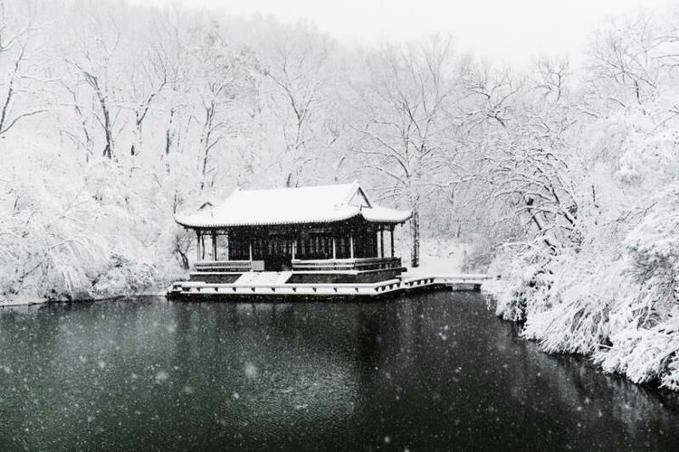 镜头:暮雪飞花 枝上雪堆